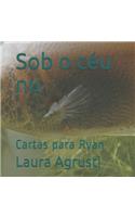 Sob o céu nu: Cartas para Ryan