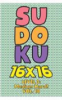Sudoku 16 x 16 Level 3