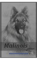 malinois carnet: Berger Belge Malinois, Cahier à Remplir Pour les amoureux des chiens, cahier malinois, journal malinois livre