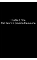 Go for it now. The future is promised to no one.