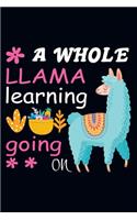 A whole llama learning going on: This fishing Logbook for the Serious Fisherman, Fisherwoman, Boys and Girls to Record Their Fishing Data