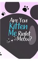 Are You Kitten Me Right Meow?