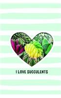 I Love Succulents