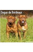 Dogue de Bordeaux Calendar 2018