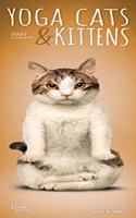 Yoga Cats & Kittens 2020 Slim Calendar