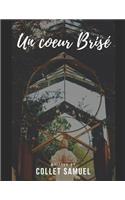 Un Coeur Brisé
