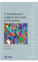 A Practitioner's Guide to the Court of Protection