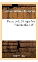 Faune de la Sénégambie. Poissons