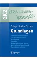 Das Zweite - Kompakt: Grundlagen: Grundlagen