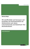 Wir sind Wortkäfer und Satzraupen und beschriften den Buchstabenbaum mit Herbstwörtern und -sätzen. Unterrichtsstunde zum Kinderbuch Der Buchstabenbaum