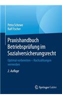 Praxishandbuch Betriebsprüfung Im Sozialversicherungsrecht