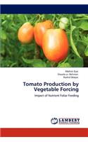 Tomato Production by Vegetable Forcing