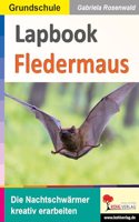 Lapbook Fledermaus: Die Nachtschwarmer kreativ erarbeiten (Lapbook Sachunterricht: Unterrichtsthemen in der Grundschule kreativ erarbeiten)
