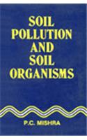 Soil Pollution and Soil Organims