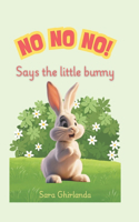 NO NO NO! Says the little bunny