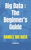 Big Data: The Beginner's Guide