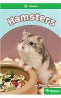 Storytown: Above Level Reader Teacher's Guide Grade 2 Hamsters