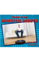 Zoom in on Domestic Robots: (Zoom in on Robots)