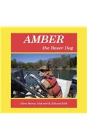 Amber the Boxer Dog