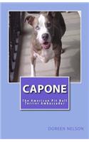 Capone: The American Pit Bull Ambassador