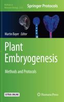 Plant Embryogenesis