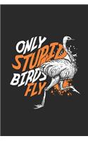 Only Stupid Birds Fly