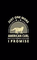 Just One More American Curl I Promise