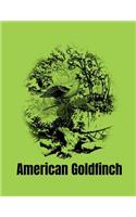 American Goldfinch: American Robin Notebook. Jounal. 8.5 X 11 Size 120 Lined Pages American Robin Bird Lovers Gifts. Ornithologist Gift Ideas.