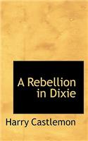 A Rebellion in Dixie