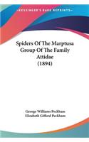 Spiders of the Marptusa Group of the Family Attidae (1894)