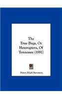 The True Bugs, or Heteroptera, of Tennessee (1891)