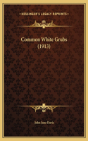Common White Grubs (1913)