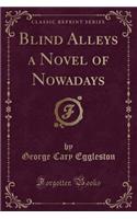 Blind Alleys a Novel of Nowadays (Classic Reprint): (English)