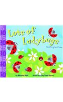 Lots of Ladybugs!