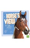 A Horse's View of the World