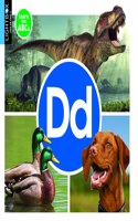 DD