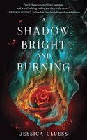 A Shadow Bright and Burning: Kingdom on Fire