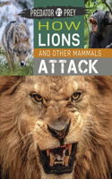 Predator Vs Prey: How Lions and Other Mammals Attack!