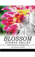 Blossom Stress Relief GRAYSCALE Landscape Coloring Books Volume 2