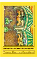 What Is Jack&jill Turtle Saying?art Magazine Book?: What Is Jack&jill Turtle Saying?art Magazine Book