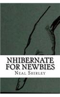 NHibernate For Newbies