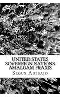 United States Sovereign Nations Amalgam Praxis: The Great American Dreams