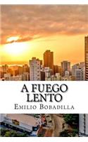 A fuego lento (Spanish Edition)