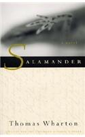 Salamander