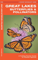 Great Lakes Butterflies & Pollinators