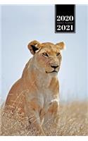 Lion Week Planner Weekly Organizer Calendar 2020 / 2021 - High Grass