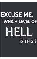 Excuse Me, Which Level Of HELL Is This?