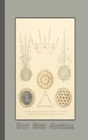 Dot grid journal: Ernst Haekel's Radiolaria (1862) microscopic organisms cover art for the vintage illustration appreciator or ocean lover - sage green background wit