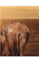 Elephants at Dusk Journal