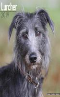 Lurcher Calendar 2019